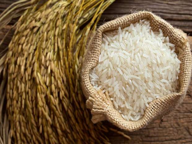 ” بكام الارز ؟؟” سعر طن الأرز الشعير اليوم الثلاثاء 28 مايو 2024 للجملة واسعار بعض السلع الاساسية في الاسواق