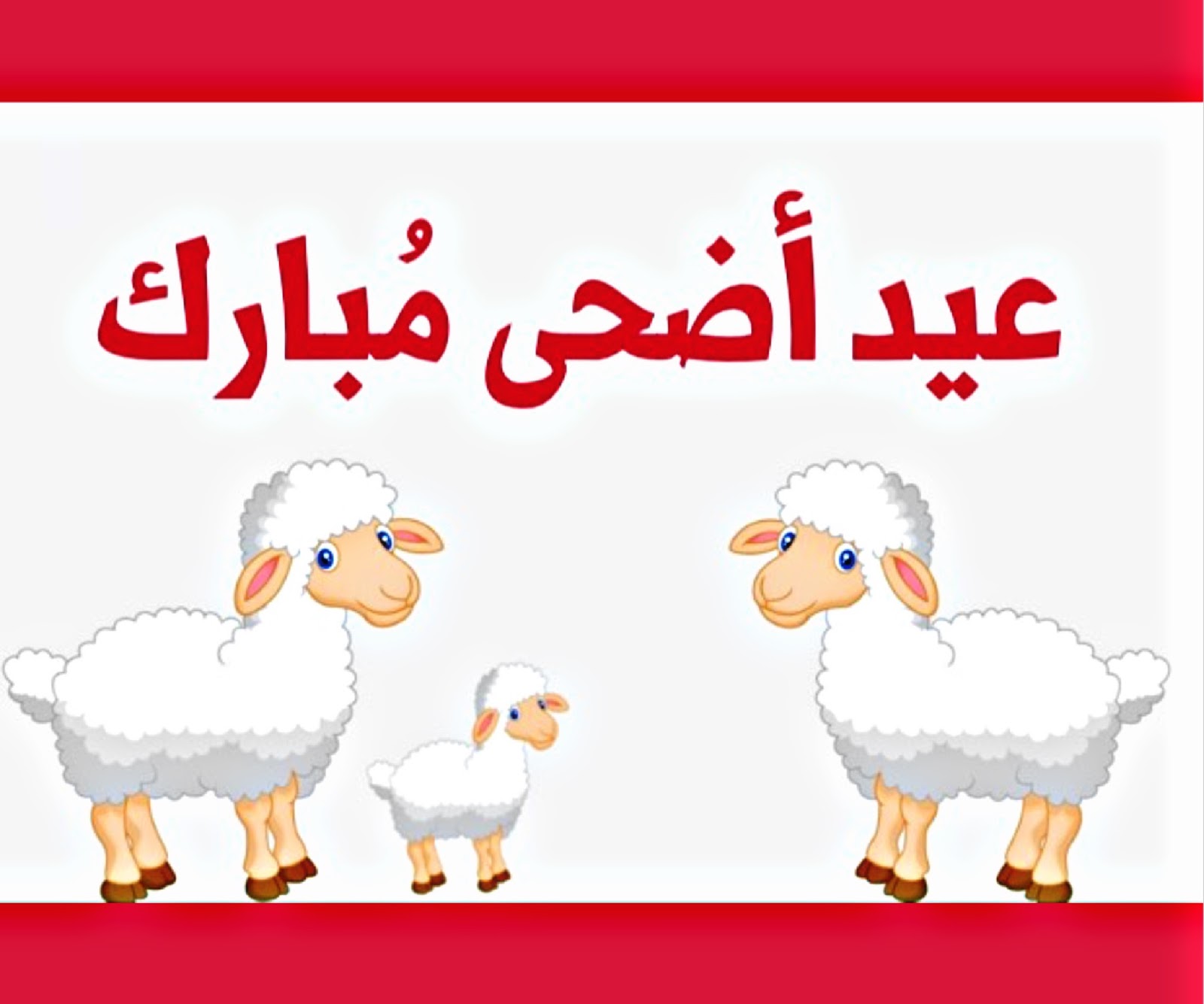 “معاك 9 ايام” اجابة سؤال كم عدد ايام اجازة عيد الأضحى 2024