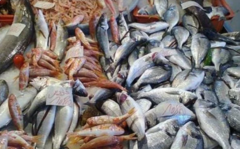 اسعار السمك اليوم السبت 15 يونيو 2024 الفريش و المجمد في الأسواق المحلية