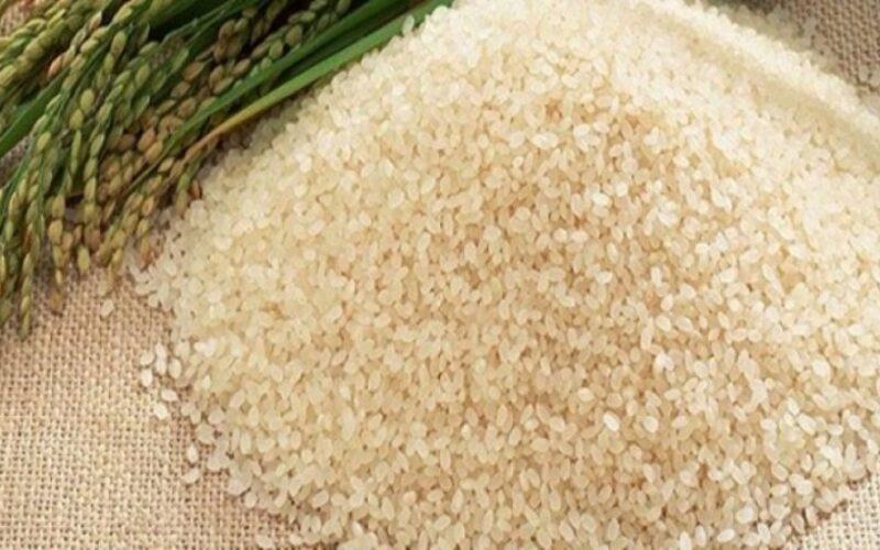 ” الابيض بكام”….سعر طن الارز الشعير اليوم الثلاثاء 18 يونيو 2024 عند التاجر و في جميع الاسواق المحلية
