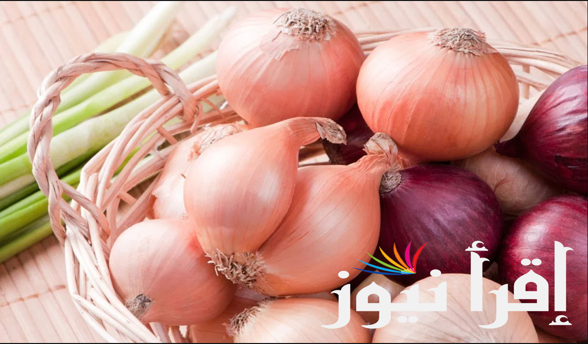 سعر البصل اليوم الاثنين 19 أغسطس 2024 وفق تسعيرة سوق العبور
