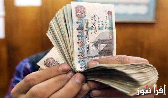 “الصرف قرب” .. آخر أخبار المعاشات الآن عاجل | الهيئة القومية للتأمين الإجتماعي تُعلن عن موعد صرف معاشات شهر نوفمبر 2024
