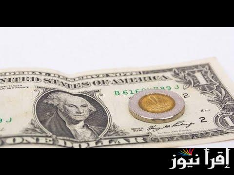 اخر تحديث.. سعر الدولار اليوم مقابل الجنيه المصري الاربعاء 23 أكتوبر 2024 في مختلف البنوك والسوق السوداء