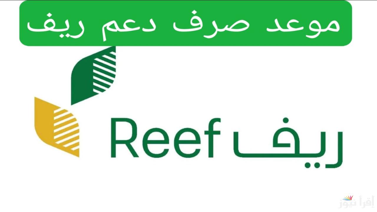 كيف تسجل في برنامج الدعم الريفي السعودي؟ الشروط وطريقة الاستفادة من الدعم الزراعي لعام 2024