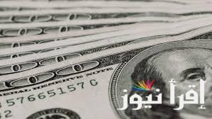 100 دولار بكام جنية ؟.. سعر الدولار اليوم في السوق السوداء الاثنين 13 يناير 2025 والبنوك المصرية