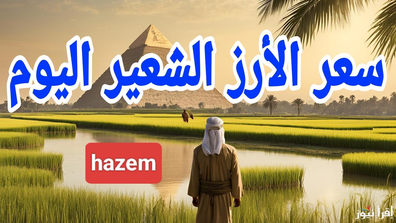 الرز عمل زحمة في السوق.. سعر طن الأرز الشعير الان في جميع الأسواق المصرية 2025  