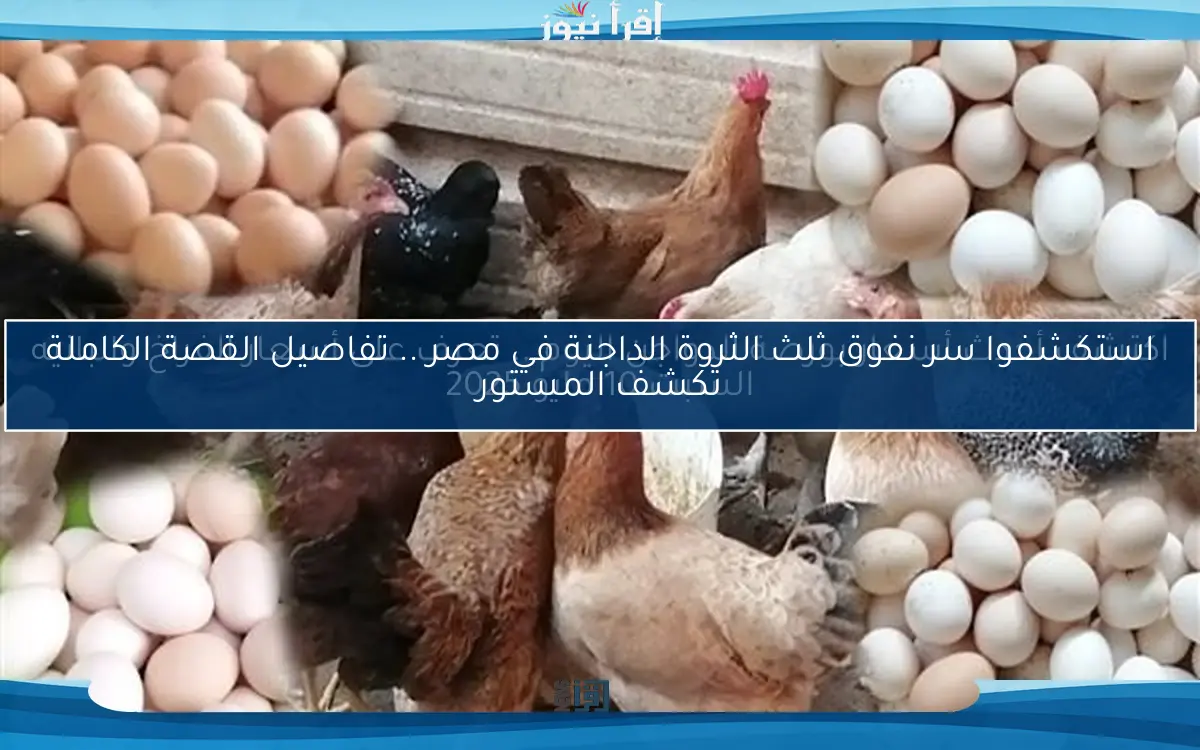 اكتشف أحدث أسعار بورصة الدواجن اليوم .. تعرف على أسعار الفراخ والبانيه السبت 10 مايو 2025