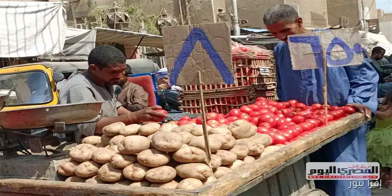 أسعار البصل والطماطم والخضروات في الأسواق اليوم: الأحد 31 أغسطس 2025