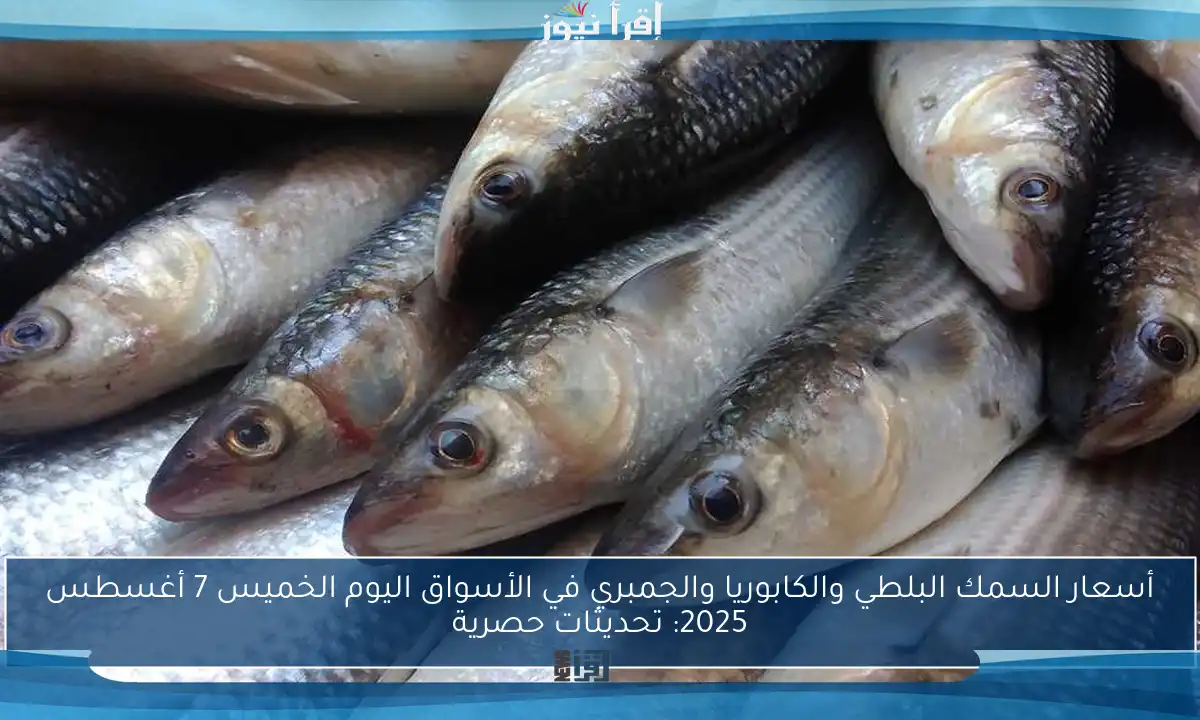 أسعار السمك البلطي والكابوريا والجمبري في الأسواق اليوم الخميس 7 أغسطس 2025: تحديثات حصرية