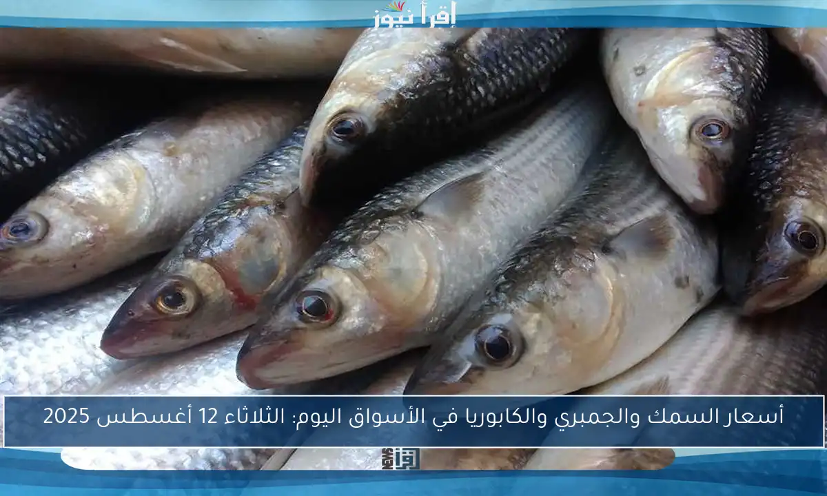 أسعار السمك والجمبري والكابوريا في الأسواق اليوم: الثلاثاء 12 أغسطس 2025