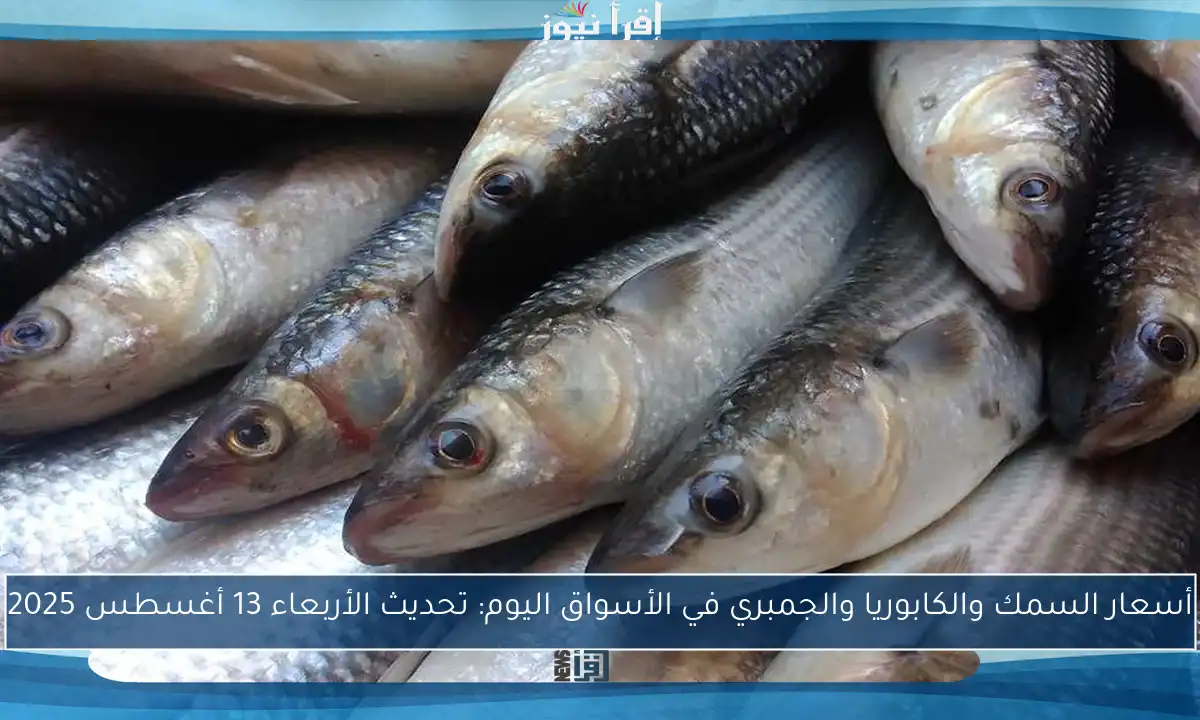 أسعار السمك والكابوريا والجمبري في الأسواق اليوم: تحديث الأربعاء 13 أغسطس 2025
