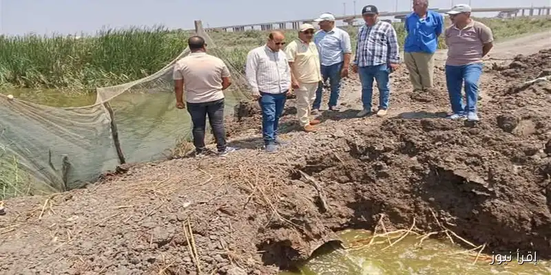 إزالة مزرعة سمكية غير قانونية في مركز الحسينية بالشرقية: جهود للحفاظ على البيئة