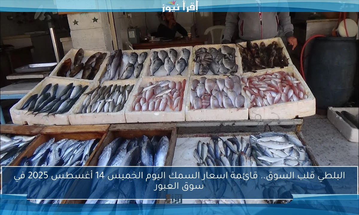 البلطي قلب السوق.. قائمة اسعار السمك اليوم الخميس 14 أغسطس 2025 في سوق العبور