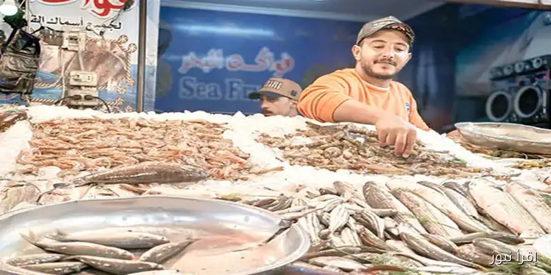 اكتشفوا سوق الأسماك الحضاري في بورسعيد مع إقرأ نيوز: تجربة فريدة للذواقة!