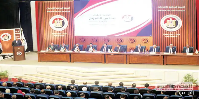 الوطنية للانتخابات تؤكد: سفاراتنا مستعدة لاستقبال الناخبين في جولة الإعادة لمجلس الشيوخ دون شكاوى