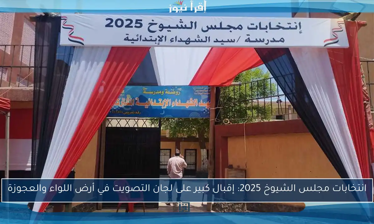 انتخابات مجلس الشيوخ 2025: إقبال كبير على لجان التصويت في أرض اللواء والعجوزة