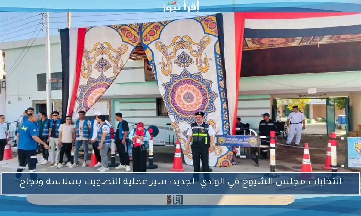 انتخابات مجلس الشيوخ في الوادي الجديد: سير عملية التصويت بسلاسة ونجاح