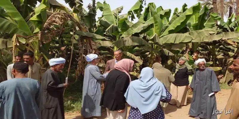 تعرف على البرامج التوعوية للاستفادة من المخلفات الزراعية في 16 محافظة: جهود مركز البحوث الزراعية
