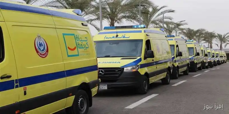 حادث انقلاب سيارة في محافظة البحيرة يُصيب 18 فردًا من عائلة واحدة