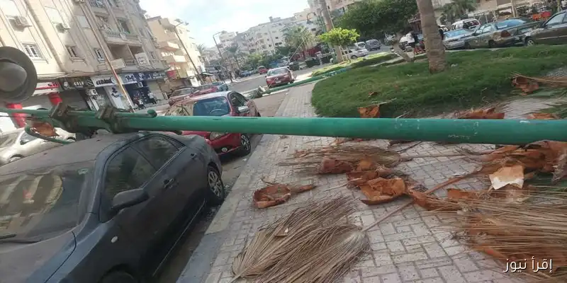 حادث مؤلم في الإسكندرية: عامود إنارة يسقط على سيارة خلال شهر العسل (صور)