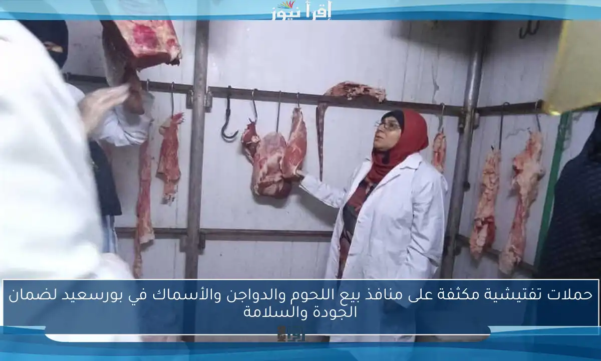 حملات تفتيشية مكثفة على منافذ بيع اللحوم والدواجن والأسماك في بورسعيد لضمان الجودة والسلامة