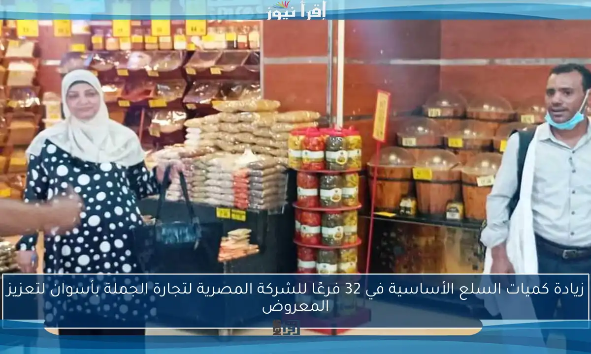 زيادة كميات السلع الأساسية في 32 فرعًا للشركة المصرية لتجارة الجملة بأسوان لتعزيز المعروض