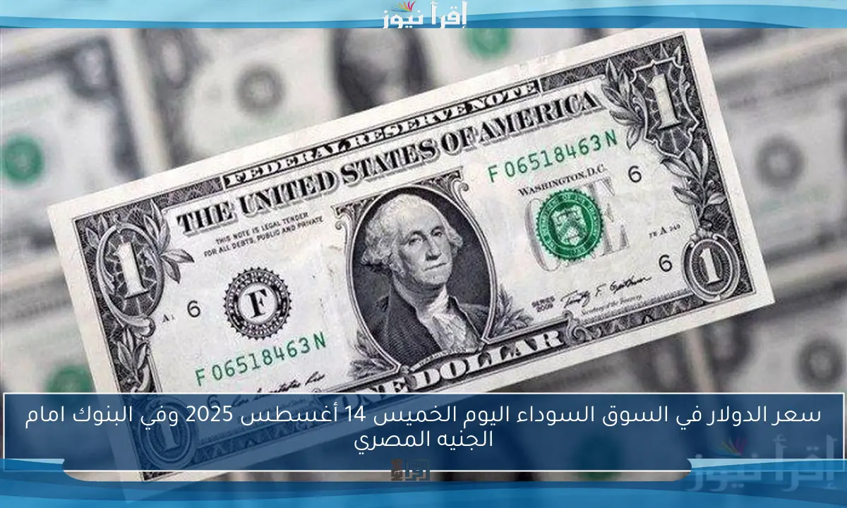 سعر الدولار في السوق السوداء اليوم الخميس 14 أغسطس 2025 والبنوك مقابل الجنيه المصري لحظة بلحظة