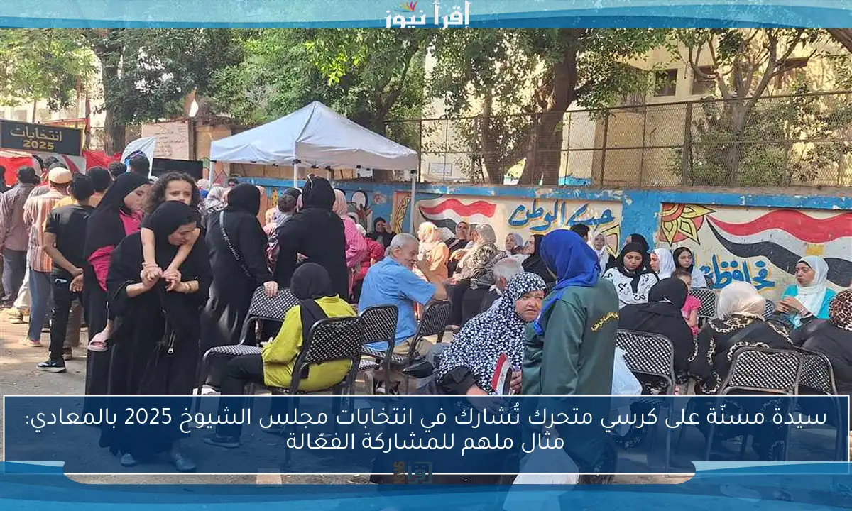 سيدة مسنّة على كرسي متحرك تُشارك في انتخابات مجلس الشيوخ 2025 بالمعادي: مثال ملهم للمشاركة الفعّالة