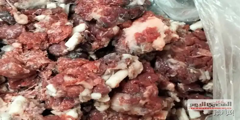 ضبط لحوم غير معلومة المصدر خلال حملات تموينية مكثفة في كفر الشيخ