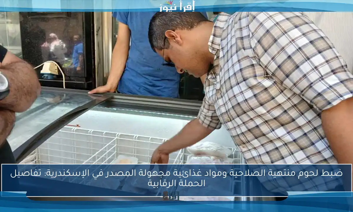 ضبط لحوم منتهية الصلاحية ومواد غذائية مجهولة المصدر في الإسكندرية: تفاصيل الحملة الرقابية