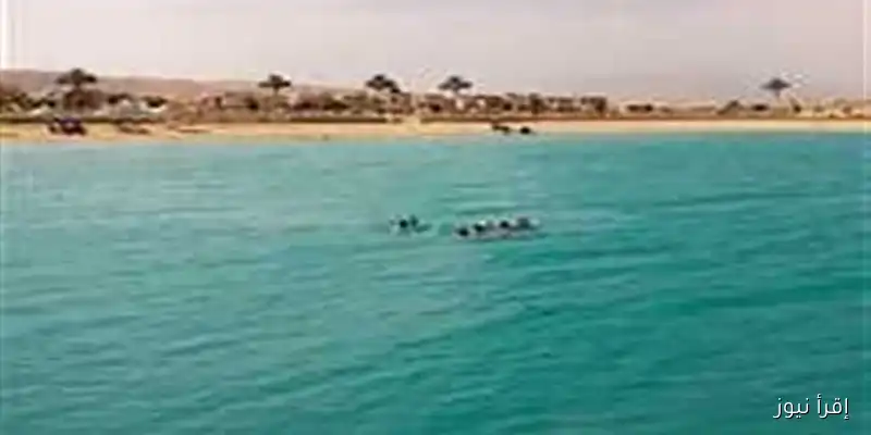 طالب ينجو من غرق محقق في مياه البحر بالعريش: قصة شجاعة ونجاة