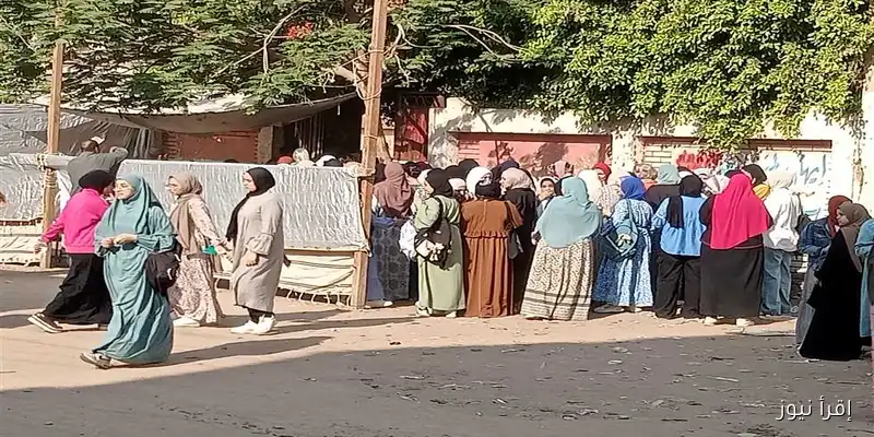 طلاب الثانوية في المنيا يؤدون امتحانات الديناميكا والإحصاء في الدور الثاني 2025 بدون شكاوى