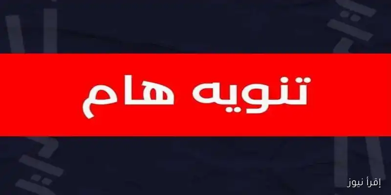 فرص عمل جديدة في رياض الأطفال بالإسكندرية: الشروط والسن المطلوبة للتقديم