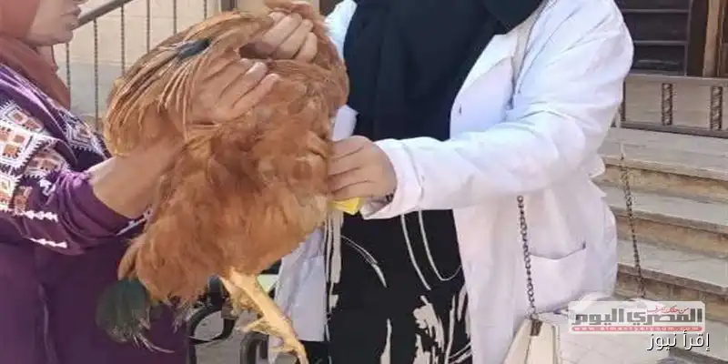 نجاح حملة تحصين 76 ألف طائر ضد الأمراض الوبائية في كفر الشيخ
