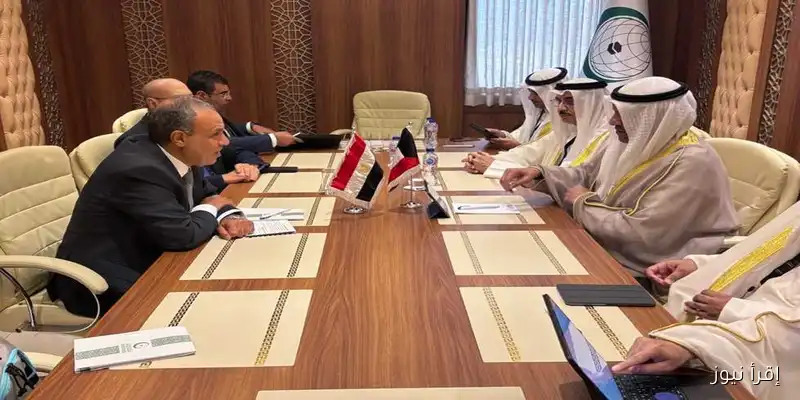وزيرا خارجية مصر والكويت يتباحثان لتعزيز العلاقات الثنائية ومواكبة التطورات الإقليمية