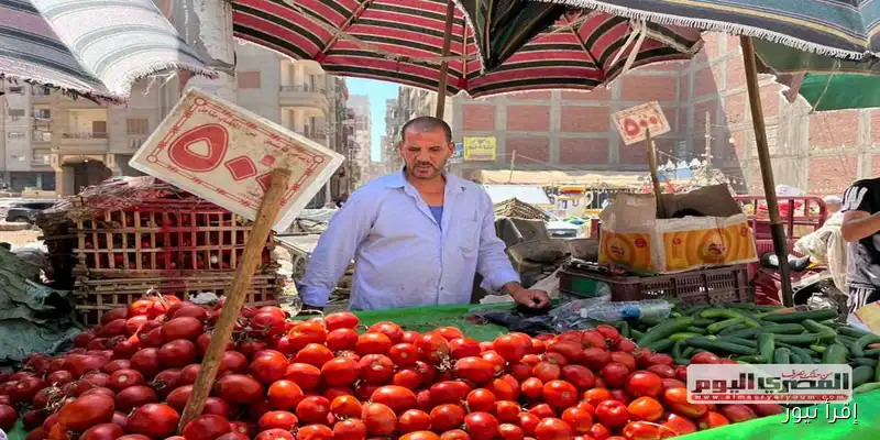 أسعار الخضروات في أسوان اليوم الجمعة 5 سبتمبر 2025: تحديثات جديدة وأهم التفاصيل