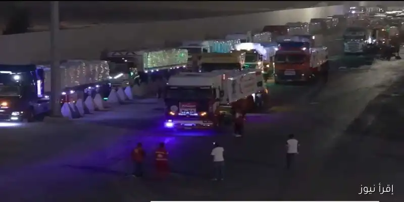 انطلاق القافلة الإنسانية الـ31 من مصر إلى غزة: الفوج الأول في طريقه للمساعدة (فيديو)